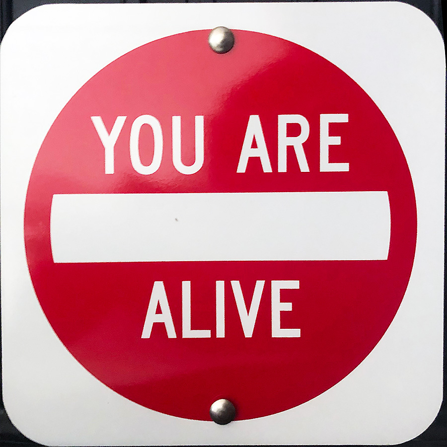 You Are Alive by Scott Froschauer