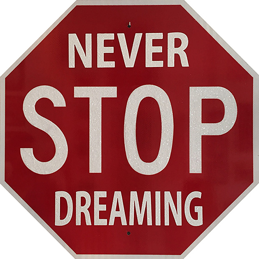 Never Stop Dreaming by Plastic Jesus