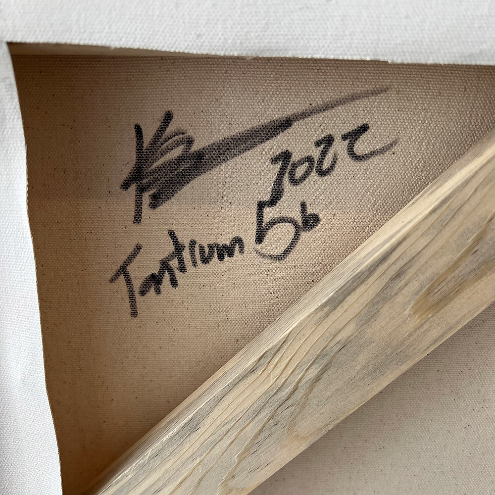 Tantrum #5b artist signature