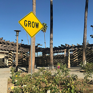 Grow (Scott Froschauer)