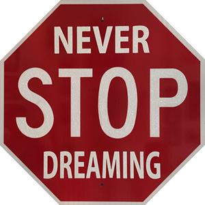 Never Stop Dreaming (Plastic Jesus)