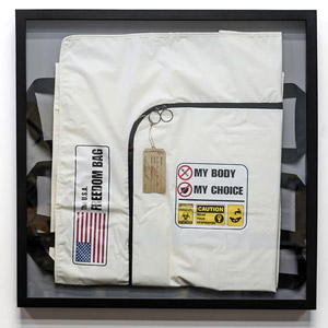 The U.S.A. Freedom Bag (Plastic Jesus)