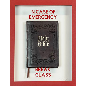In Case Of Emergency Break Glass - Bible (Plastic Jesus)